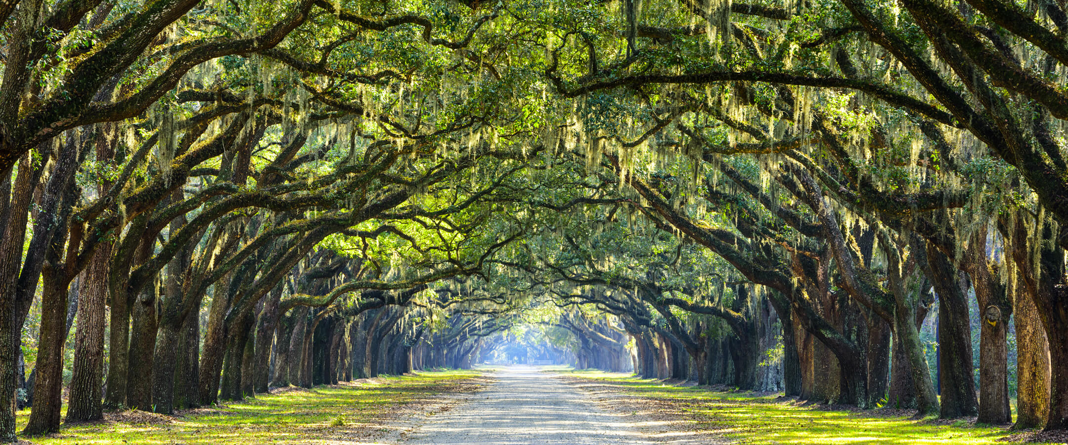 GreenTree Apartments Apartments in Thomasville, GA